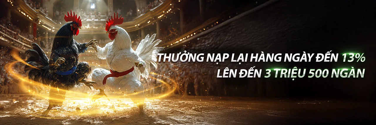 Sảnh Đá Gà C33WIN 2026