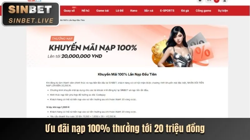 Hoàn trả cá cược hàng tuần